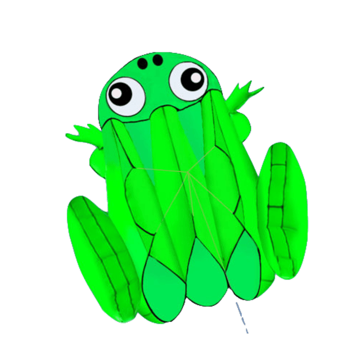 55" Large Frog Soft Kite Easy to Fly Kids Children Adult Beach Trip Park Family Outdoor Games Activities - MRSLM