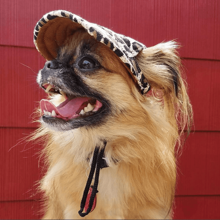 Summer Pet Dog Cute Print Cap Baseball Hat Small Dog Outdoor Hat Baseball Cap Pet Grooming Dog Hat Pets Accessories for Dogs Cats - MRSLM