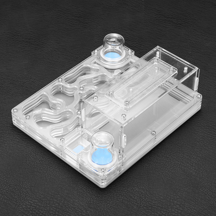 Acrylic Maze Ant Farm Works Workshop Live Habitat Feeding Nest Kids Educational Toys Gift - MRSLM