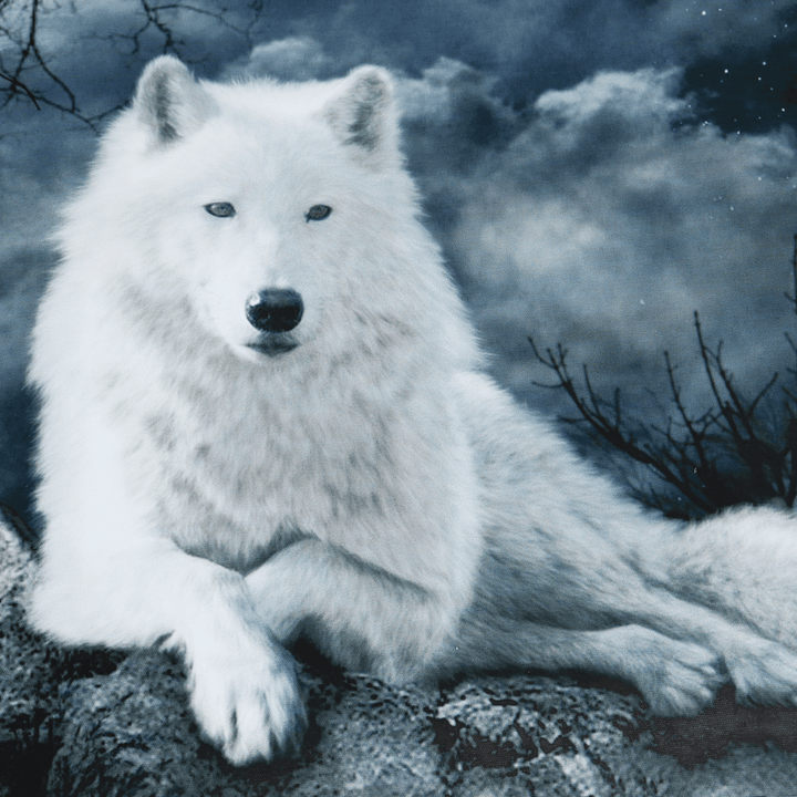 White Wolf Stone Canvas Wall Paintings Frameless Pictures Art Home Decor - MRSLM