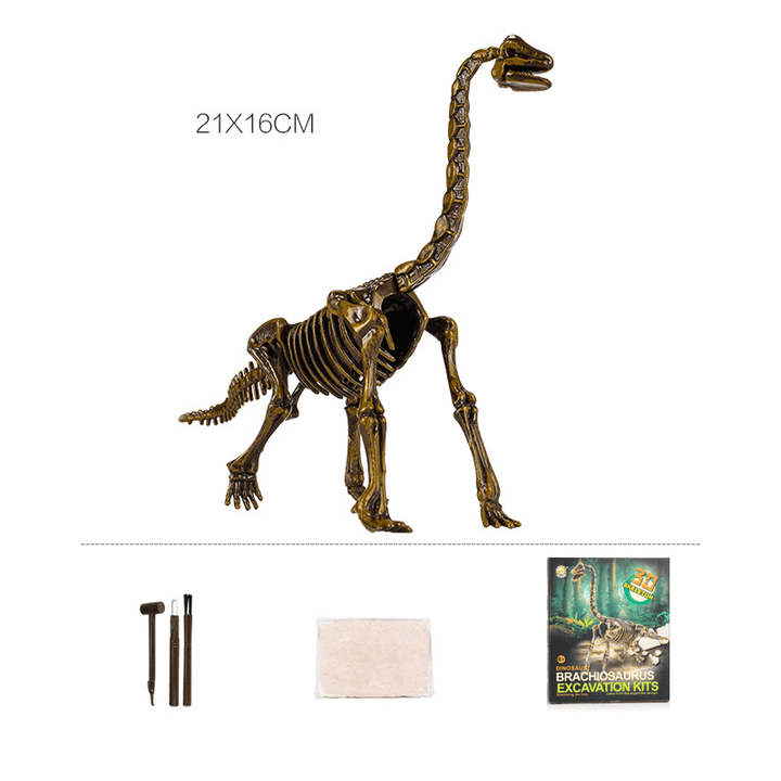 Archaeological Excavation Dinosaur Skeleton Educational Toy - MRSLM