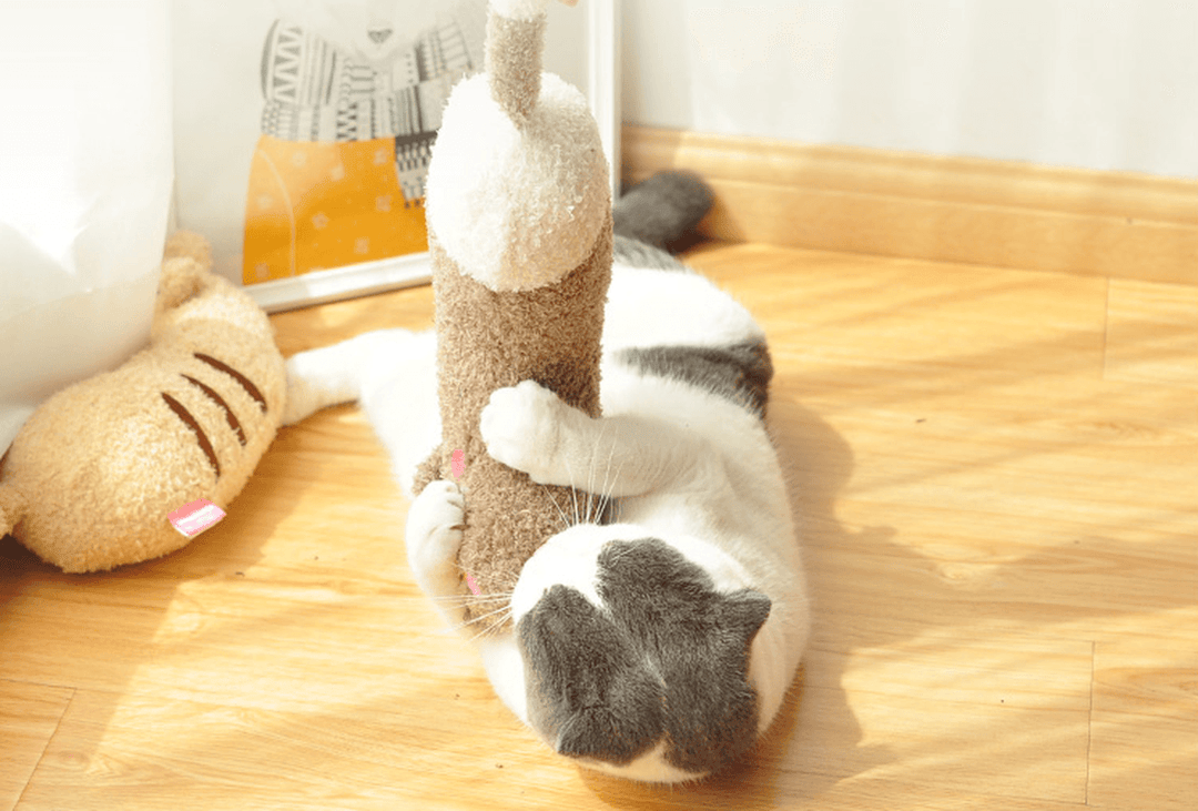 Cat Toy Pillow Shaped Funny Funny Stick Pet Supplies - MRSLM