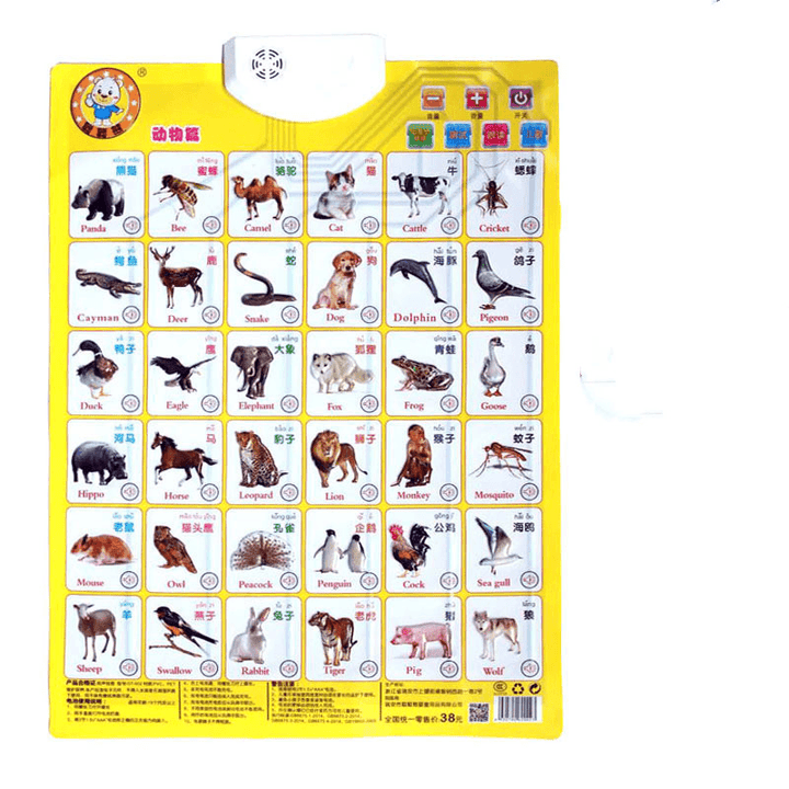 Baby Audio Wall Chart, Point to Read Pronunciation Toys - MRSLM