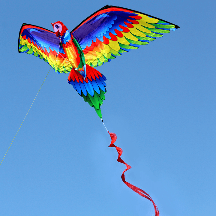 3D Parrot Kite Flyer Kite with 100M Noodle Board＆Spiral Floating Tail Kids Children Adult Beach Trip Park Family Outdoor Games Activities - MRSLM