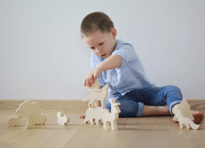 Wooden Scientific and Educational Toys for Children - MRSLM