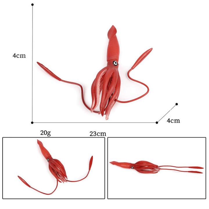 Simulation Marine Animal Model Educational Toys - MRSLM