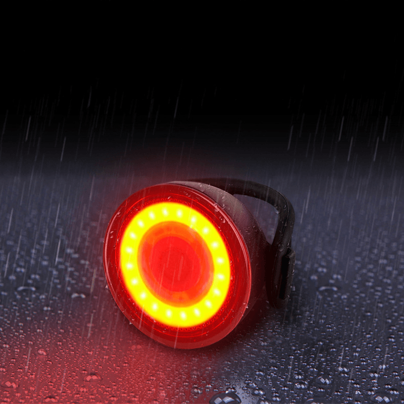 BIKIGHT 3-Modes Bicycle Light Night Riding Tail Light Bicycle Highlight Bicycle Brake Light Safety Warning Light - MRSLM