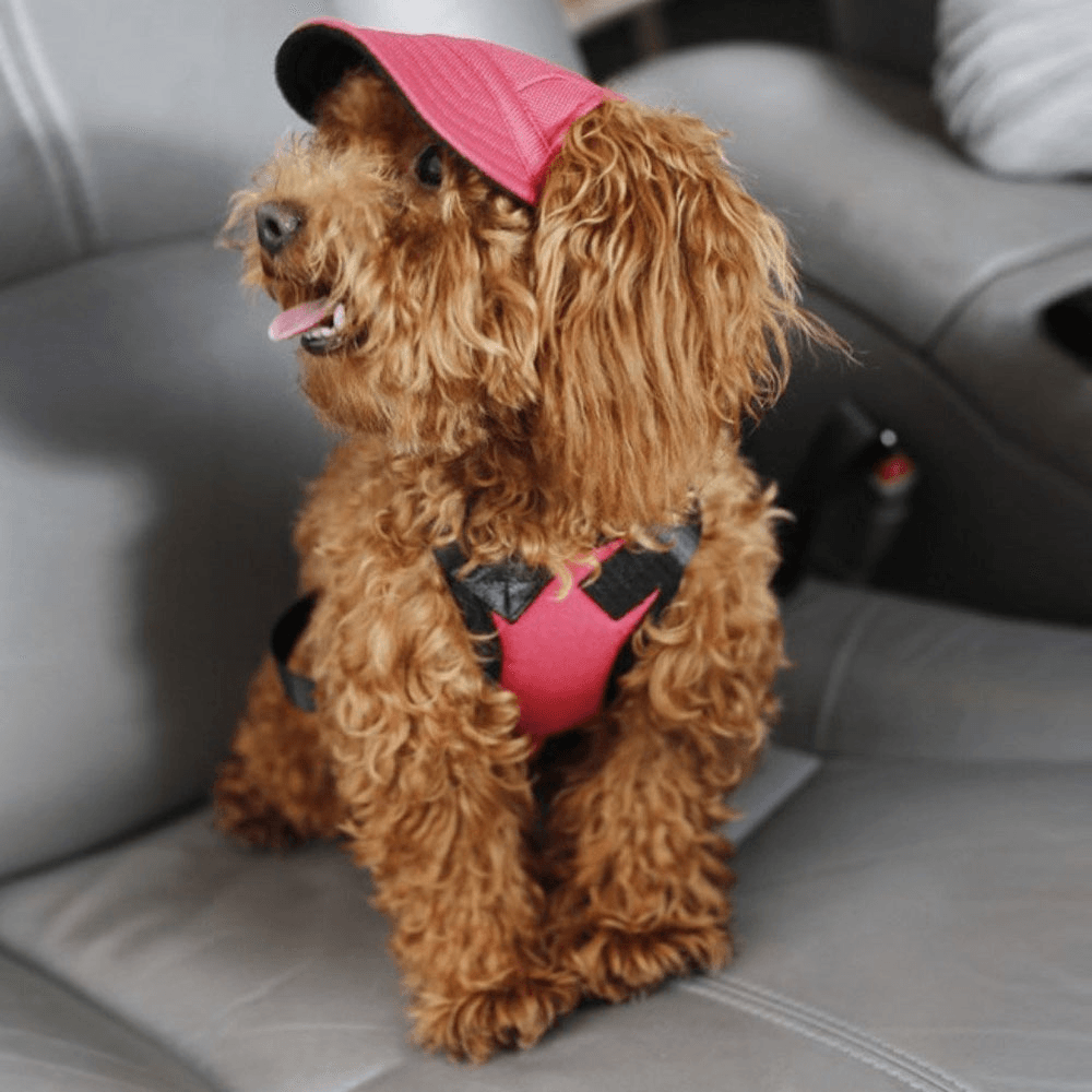 Summer Pet Dog Cute Print Cap Baseball Hat Small Dog Outdoor Hat Baseball Cap Pet Grooming Dog Hat Pets Accessories for Dogs Cats - MRSLM