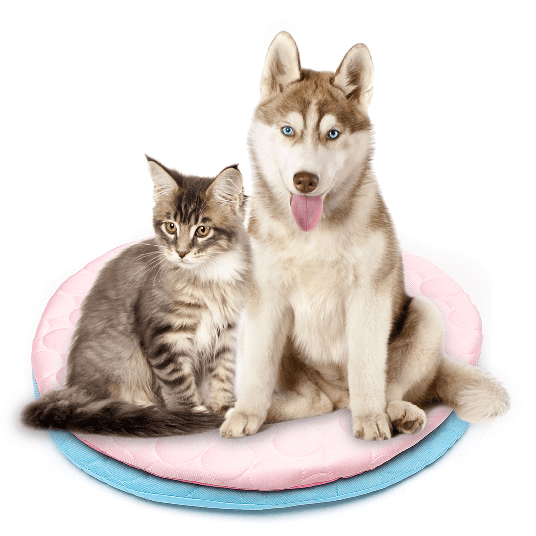 42R/50R Pet Dog Cat Soft Summer Chilly Cooling Mat Cold Bed Fiber Mats Pad Pet Seat Cushion - MRSLM