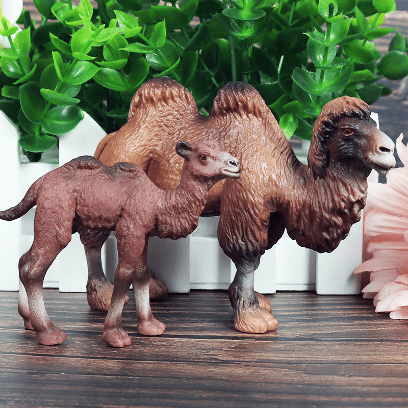 Children'S Cognitive Solid Simulation Wild Animal Decoration - MRSLM