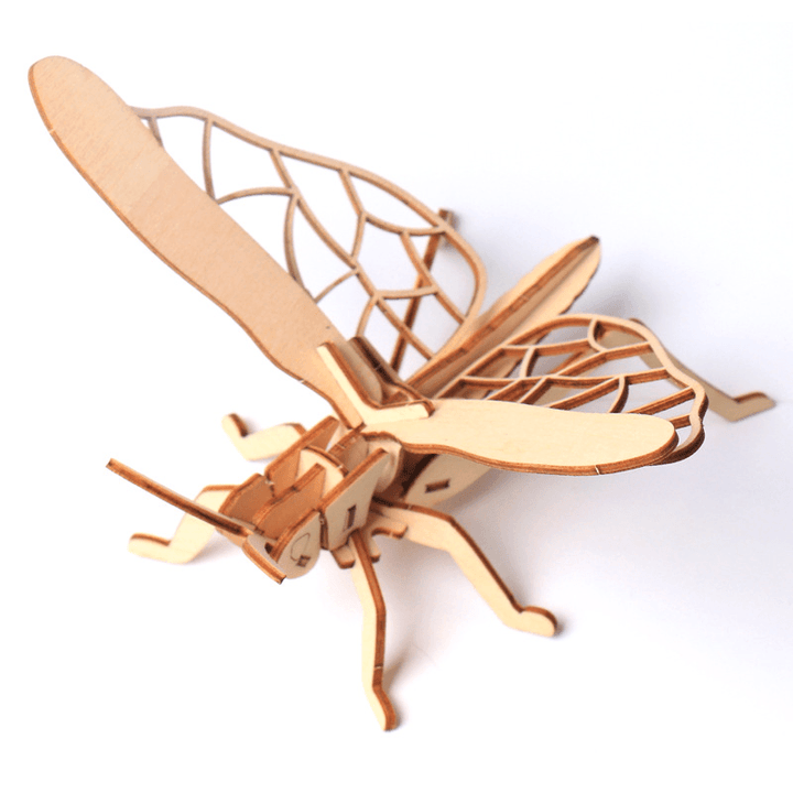 Children'S DIY Wooden Toys, Wooden Toy Models, Three-Dimensional Puzzles, Assembling Insect Models - MRSLM