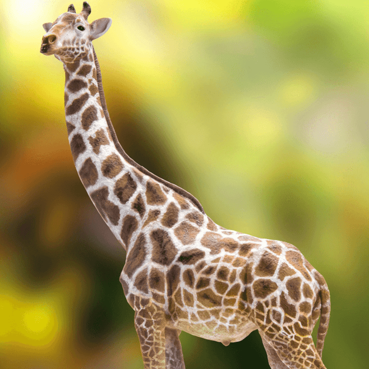 Simulation of Dinosaur King Giraffe in Wildlife Park - MRSLM