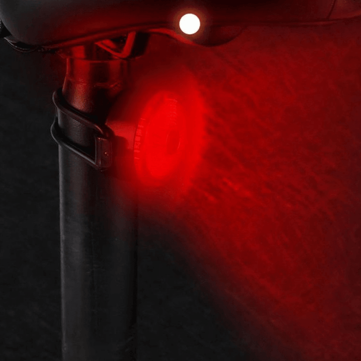 BIKIGHT USB LED Bike Tail Light 100Lm 3 Modes Adjustable Bicycle Warning Lamp Rear Flashlight Cycling - MRSLM