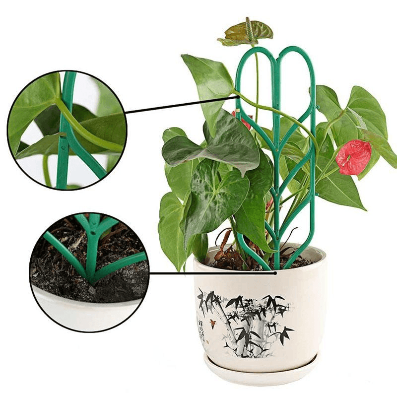 3Pcs Flower Plant Growing Support Frame Bracket Trellis Plants Climbing DIY Vine Rack Tool - MRSLM