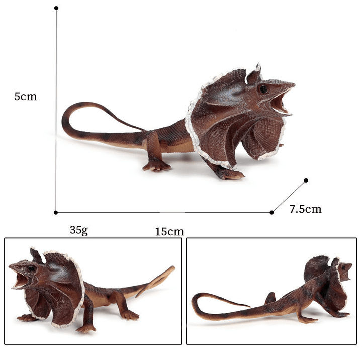 Children'S Cognitive Amphibian Solid Model Decoration - MRSLM