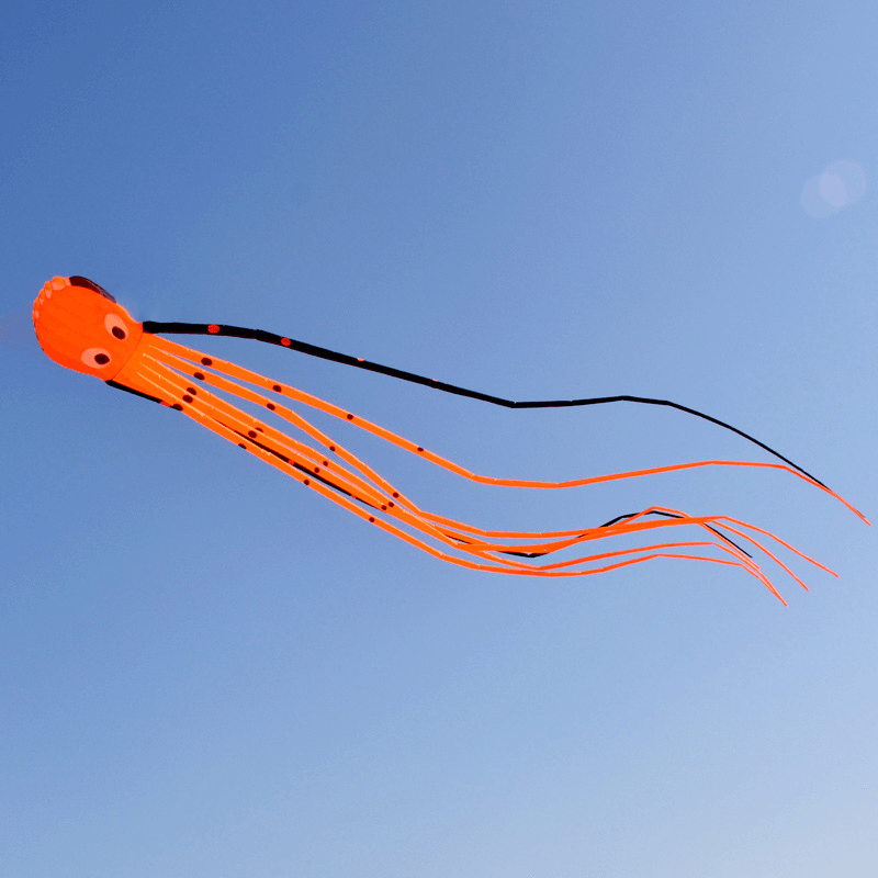 3D Three-Dimensional Software Large Octopus Kite - MRSLM