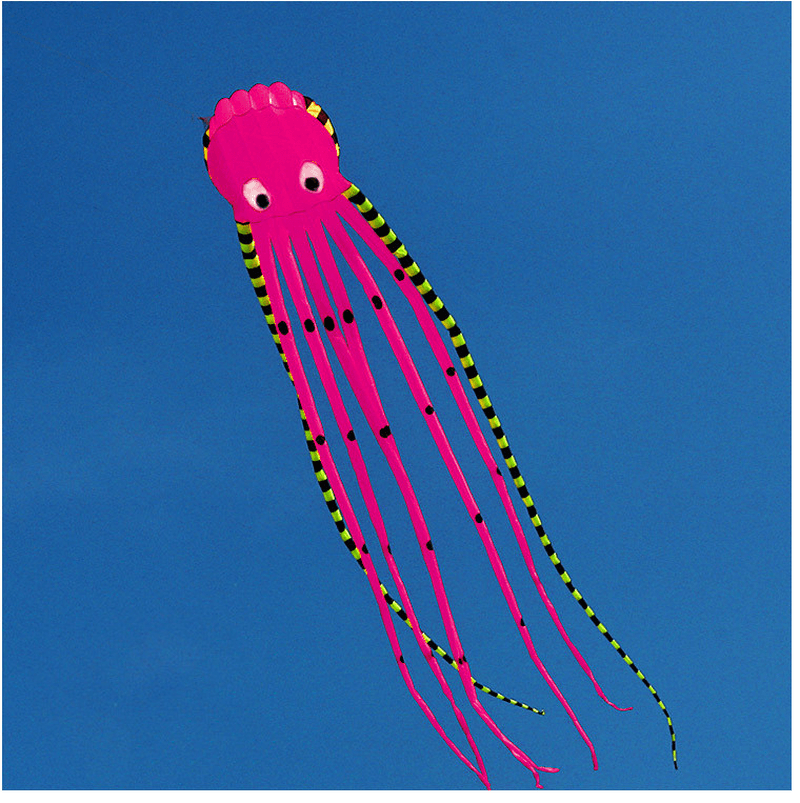 3D Three-Dimensional Software Large Octopus Kite - MRSLM