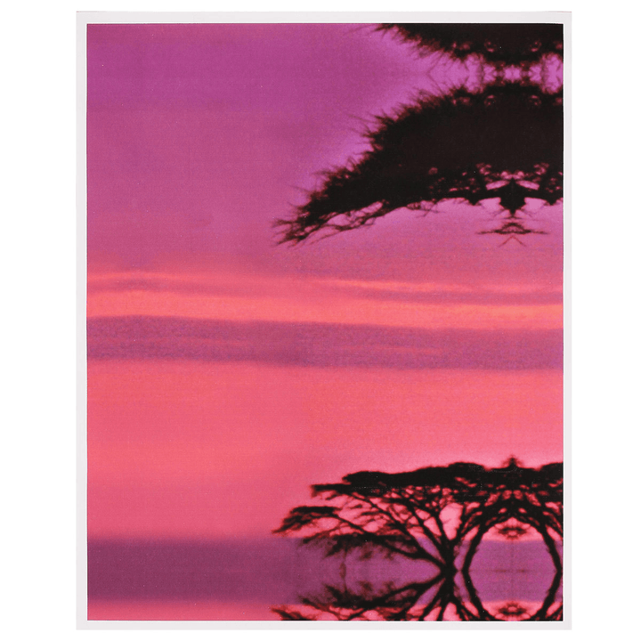 Large Sunset&Tree Canvas Print Wall Art Painting Picture NO Frame Home Decorations - MRSLM