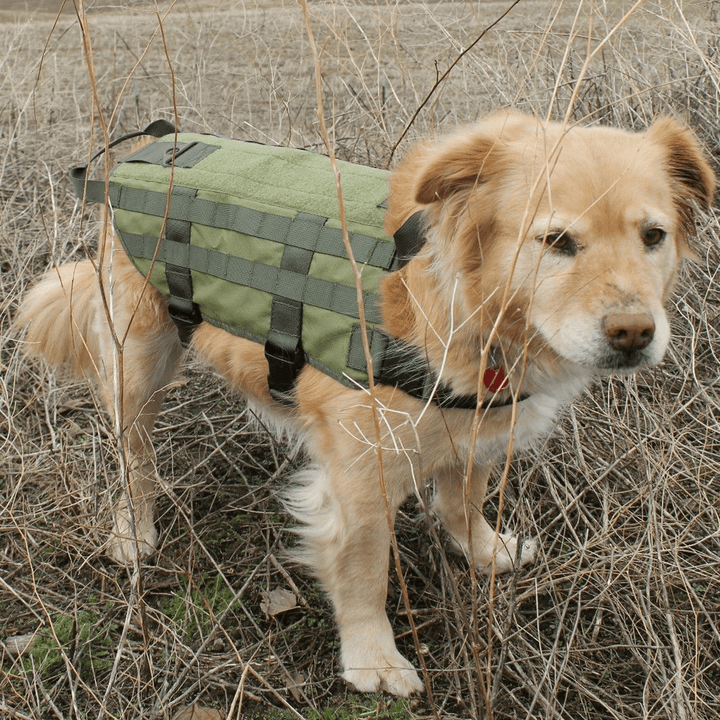 Tactical K9 Dog Military Police Molle Vest Nylon Service Canine Dog Harness XL - MRSLM