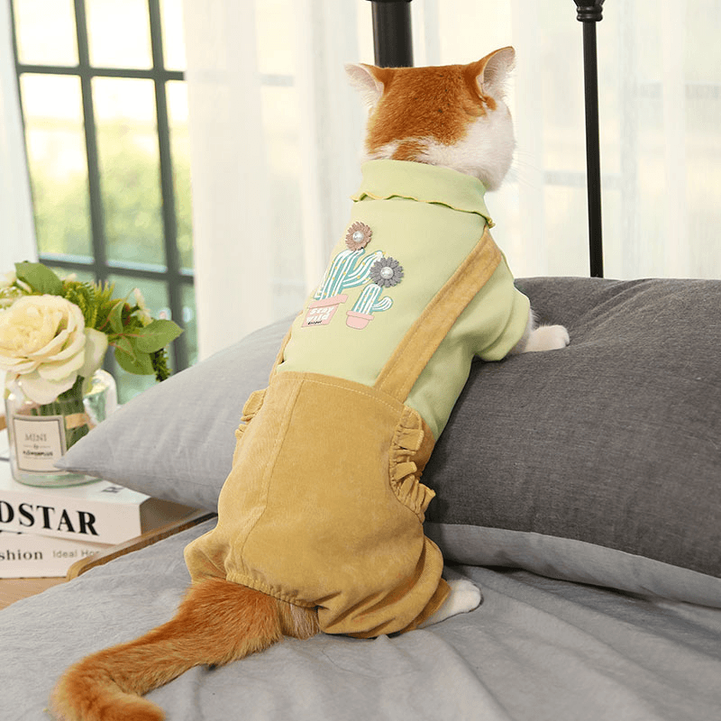 Warm and Cute Autumn and Winter Clothes for Pets - MRSLM