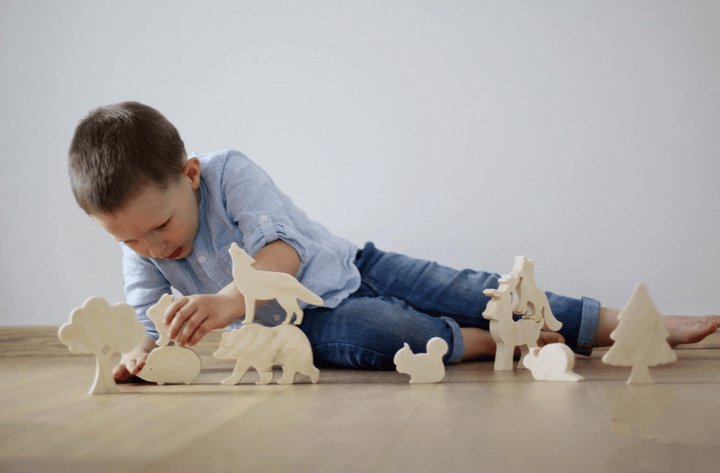 Wooden Scientific and Educational Toys for Children - MRSLM