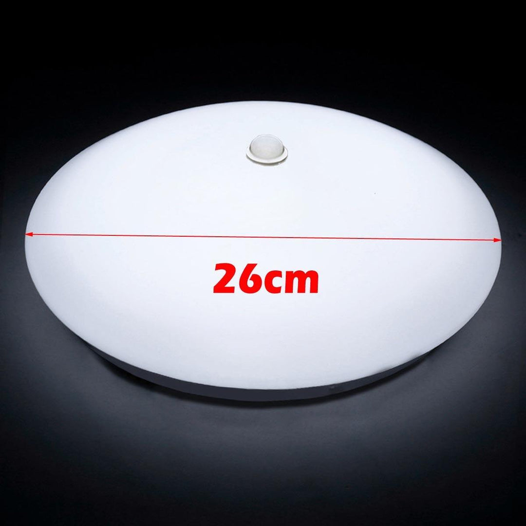 220V LED Motion Sensor Ceiling Light Automatic ON /OFF Walkway Hallway Smart Lamp - MRSLM