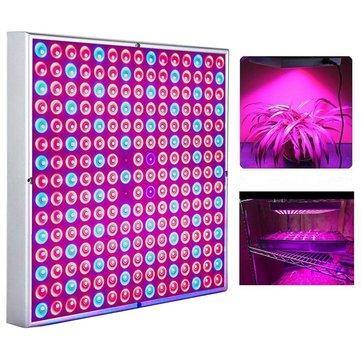 50W 225 LED Plant Light Grow Hydroponic Full Spectrum Indoor Veg Flower Light Lamp - MRSLM