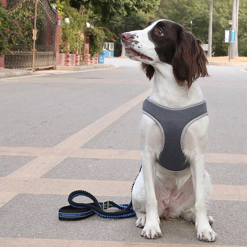 Dog Leash Vest Pet Harness Bullfight - MRSLM