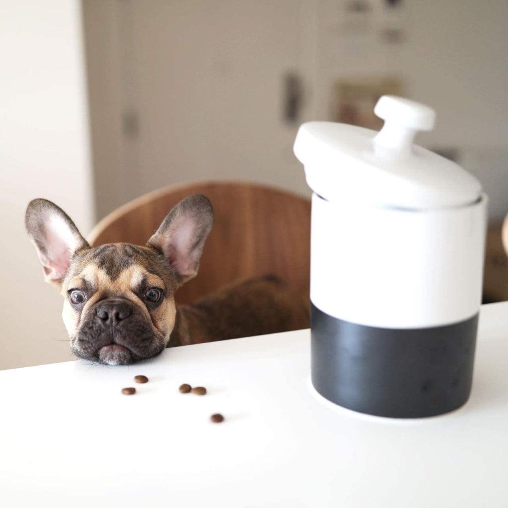 Chalkboard Dog Treat Jar - MRSLM