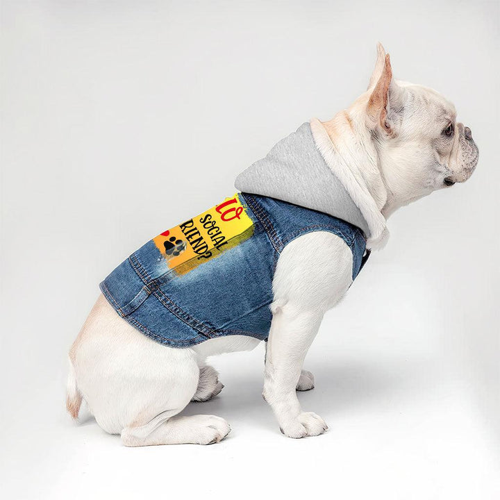 Friend Dog Denim Jacket - Colorful Dog Denim Coat - Printed Dog Clothing - MRSLM