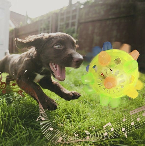 Active Jumping Ball For Dogs