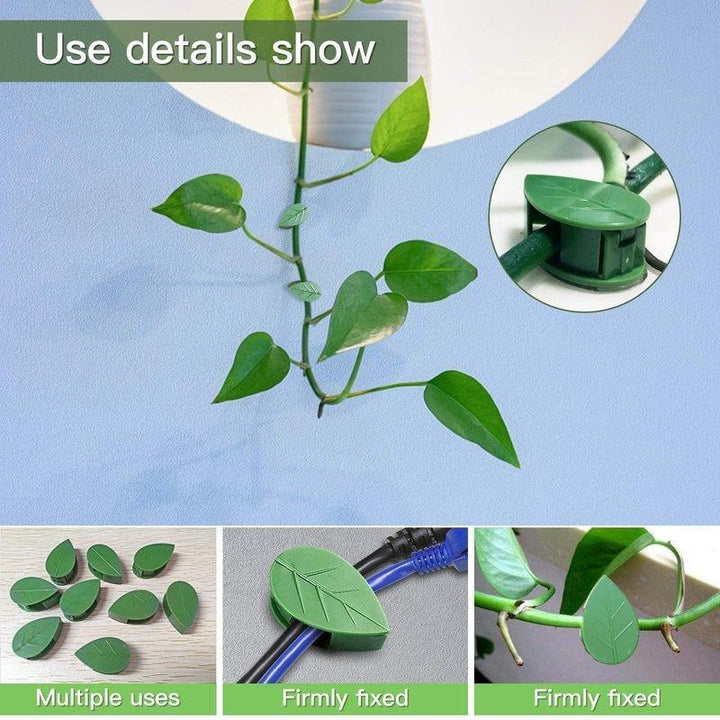 10/30pcs Plant Fixture Clip Plant Climbing Wall Self-Adhesive Fastener Tied Fixture Vine Buckle Hook Garden Plant Wall Climbing - MRSLM