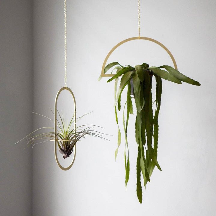 Gold Hanging Semicircle Plant Holder - MRSLM