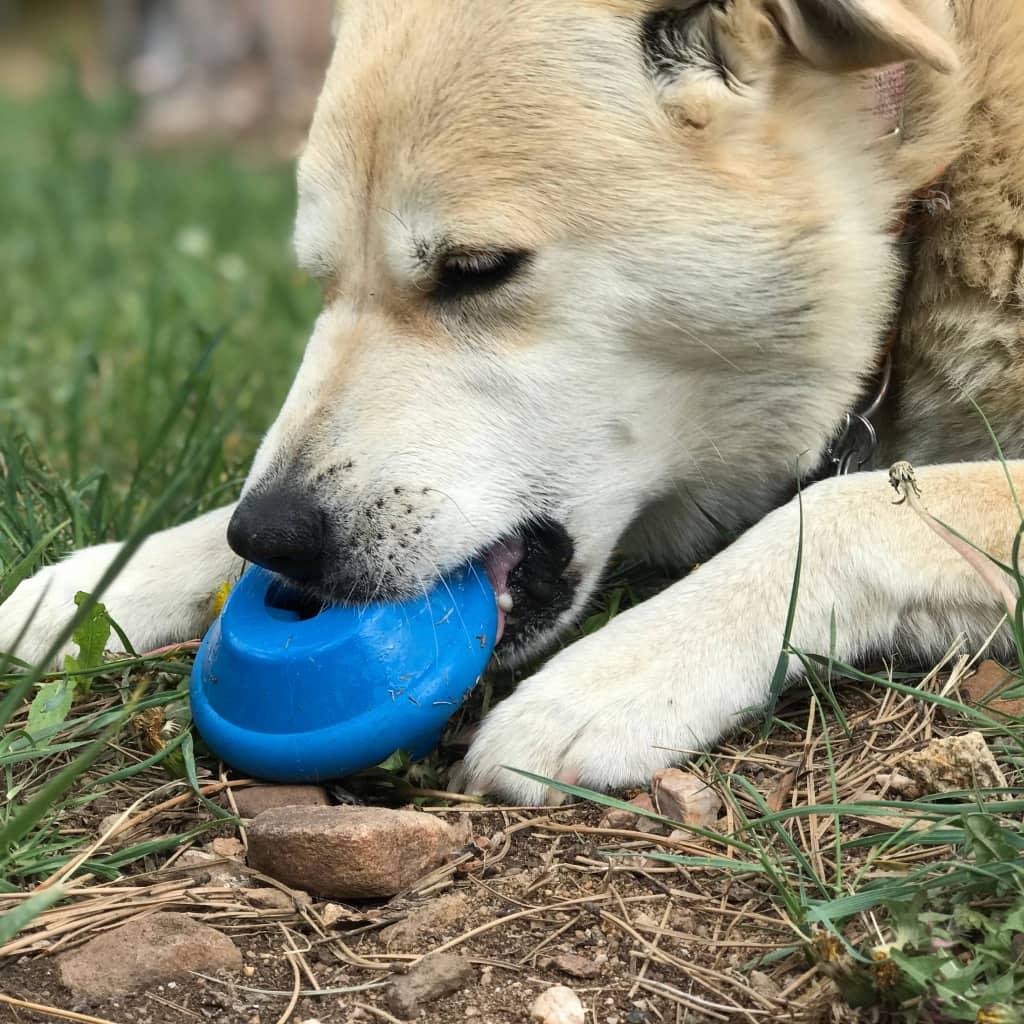 Flying Saucer - Chew Toy & Treat Dispenser - MRSLM