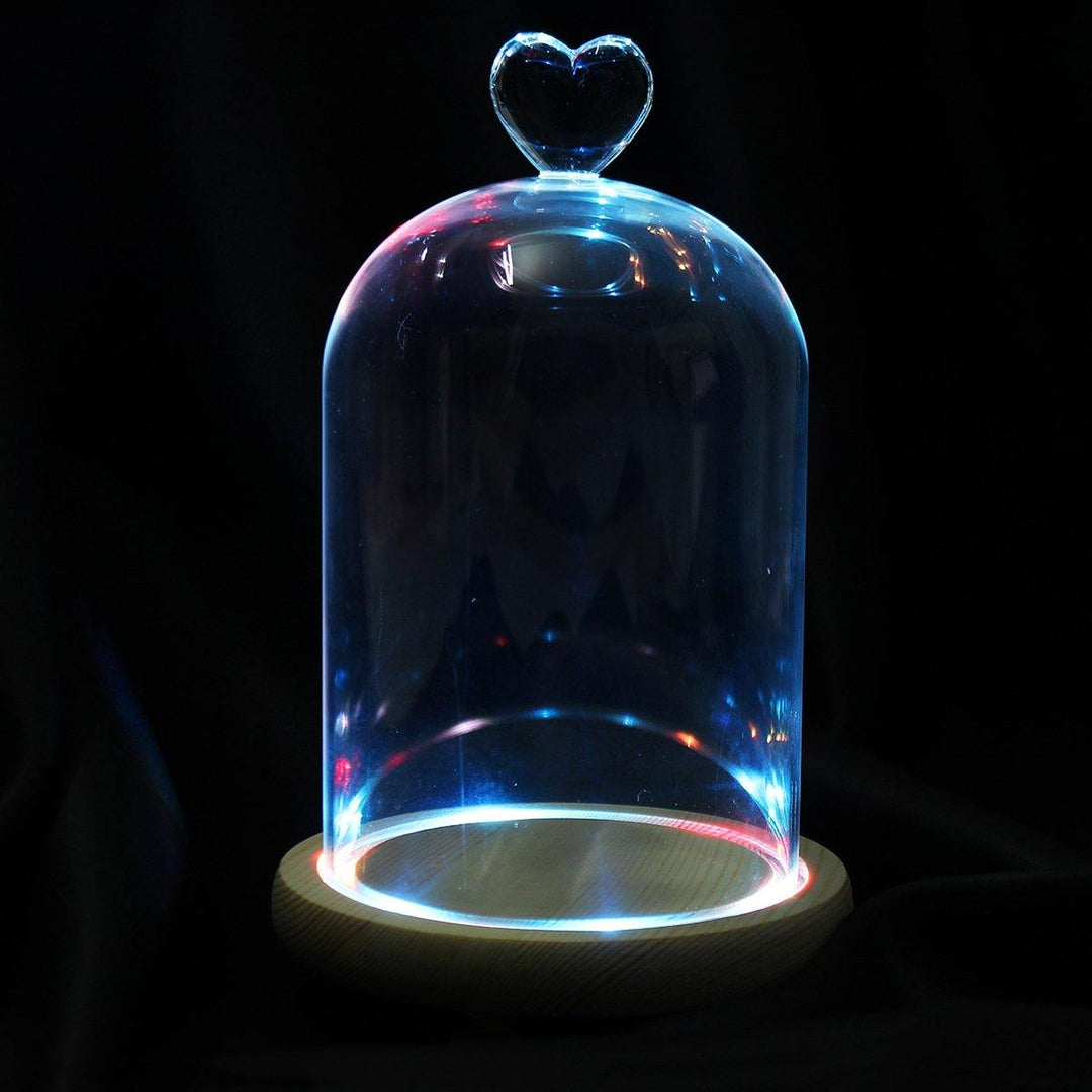 Clear Glass Display Flower Dome Bell Jar Cloche Wooden Base With LED Light Room Decorations - MRSLM